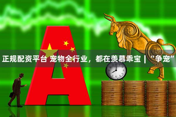 正规配资平台 宠物全行业，都在羡慕乖宝∣“争宠”